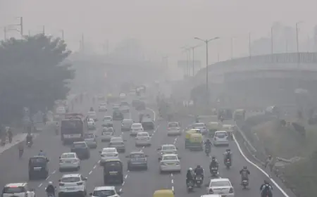 Delhi Air Quality: दिल्ली-एनसीआर में इन गाड़ियों पर लगा प्रतिबंध हटा