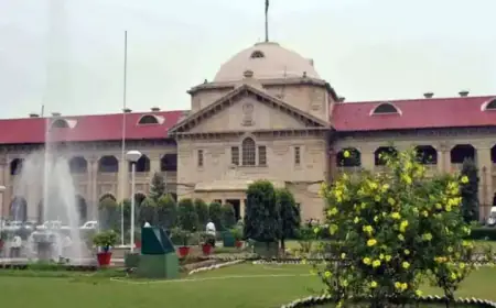 Allahabad High Court का आदेश- 'पति की कोई आय नहीं फिर भी अलग रह रही पत्नी का खर्च  उठायेगा