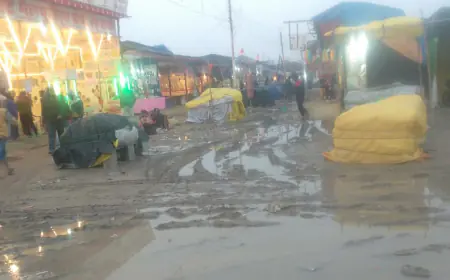 ऊंची दुकान फीके पकवान.... पहले से ग्राहकों के लिए तरस रहे दुकानदारों पर बारिश की मार फ्लाॅप हुई जिला कृषि एवं औद्योगिक विकास प्रदर्शनी