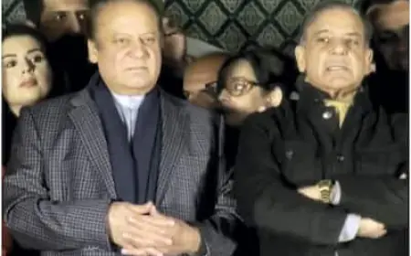 Pakistan News:  कैबिनेट में 25 मंत्री हो सकते हैं शामिल, नवाज-शहबाज ने की नामों पर चर्चा