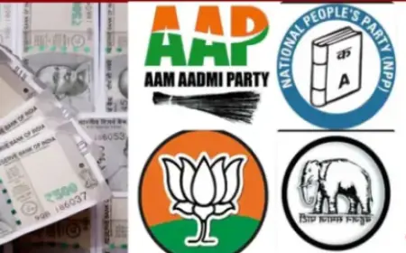 Electoral Bond Data: चुनावी बॉन्ड का आंकड़ा सार्वजनिक! भाजपा को मिला सबसे ज्यादा चंदा