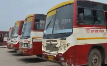 UP Roadways : ढाबे पर रूकी बस तो टॉयलेट करने चला गया युवक, लौटा तो हो गया बड़ा कांड