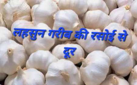 Garlic Price: प्याज-टमाटर को पीछे छोड़ लहसुन ने तोड़ा रिकार्ड, 500 के पार