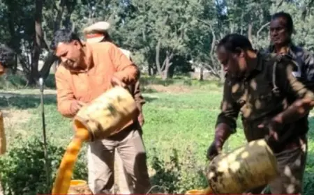 DM के निर्देष पर आबकारी की छापेमारी : 250 लीटर  लहन नष्ट व 40 लीटर अवैध कच्ची शराब बरामद