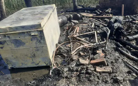 भीषण अग्निकांड की जद में आएआठ घर हुए तवाह 15 लाख के नुकशान का अनुमान