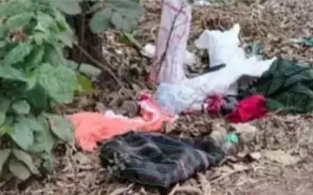 प्रेग्नेंट लड़की की 20 टुकड़ों में मिली लाश, इलेक्ट्रिक कटर से काटा गया