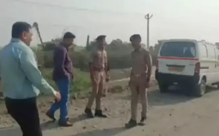 कैशियर को पिस्तौल दिखाकर 1 करोड़ लुटे, आयकर अधिकारी बनकर आया