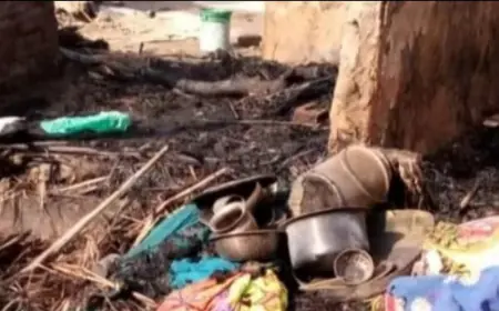 भीषण आग की चपेट में आने से जलकर सब कुछ हुआ राख, दाने दाने को हुए मोहताज़