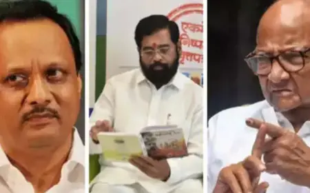 चाचा शरद पवार ने CM शिंदे, डिप्टी CM फडणवीस और भतीजे को खाने पर बुलाया?