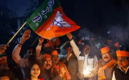 Loksabha : जिताऊ, टिकाऊ और वफादार; भाजपा के उम्मीदवारों की लिस्ट में कई नाम