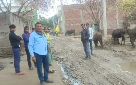 पानी का नहीं है निकास ,कीचड़ से बज-बजा रहीं गांव की गलियां, जिम्मेदार मौन