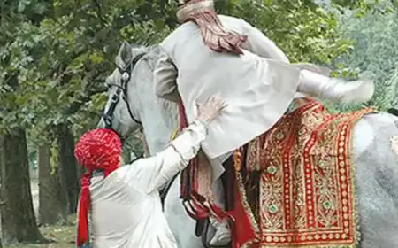 सात फेरे के लेने के बाद दुल्हन नहीं जनाब, दूल्हा भागा, बराती बुरे फंसे