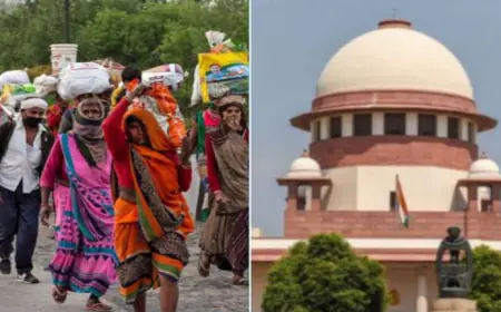 2 माह में सबको दें राशन कार्ड; राज्यों पर भड़का सुप्रीम कोर्ट