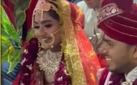 दूल्हे की जगह पंडित के जूते चुराए सालियों ने, बराती लोट पोट