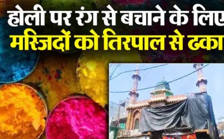 अलीगढ़ और संभल में होली पर रंग से बचाने के लिए नौ मस्जिदों को तिरपाल से ढका