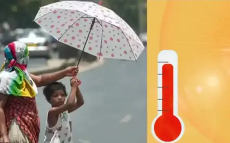 Heat Wave Alert: मार्च में मई जैसी गर्मी! देश के कई राज्यों में 40 डिग्री  पार