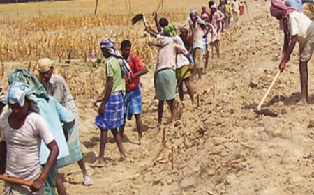 MGNREGA: चुनाव से पहले बढ़ गई मनरेगा मजदूरों की  मजदूरी, जानें कितनी हुई