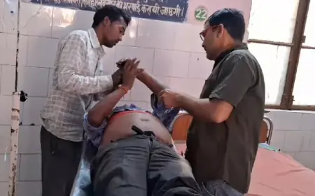 तेज रफ्तार से सामने आ रही पिकअप को बचाने में अनियंत्रित होकर पलटा टेंपो ,एक व्यक्ति हुआ घायल