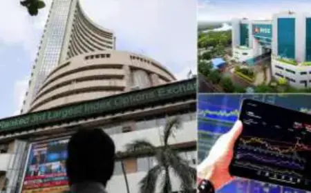 Reliance, SBI और LIC के निवेशकों को हुआ सबसे अधिक मुनाफा