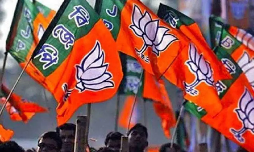 Lok Sabha Elections 2024: BJP कैंडिडेट्स की पहली लिस्ट में यूपी से 51 प्रत्याशी