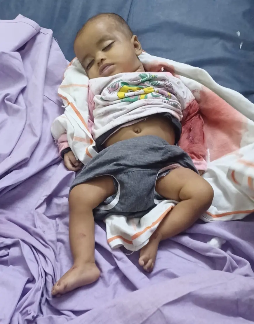 हरिचन्दपुर छ्छेना के बीच मे 6 माह की बच्ची मिली घायल अस्पताल पहुंचते ही हुई मौत
