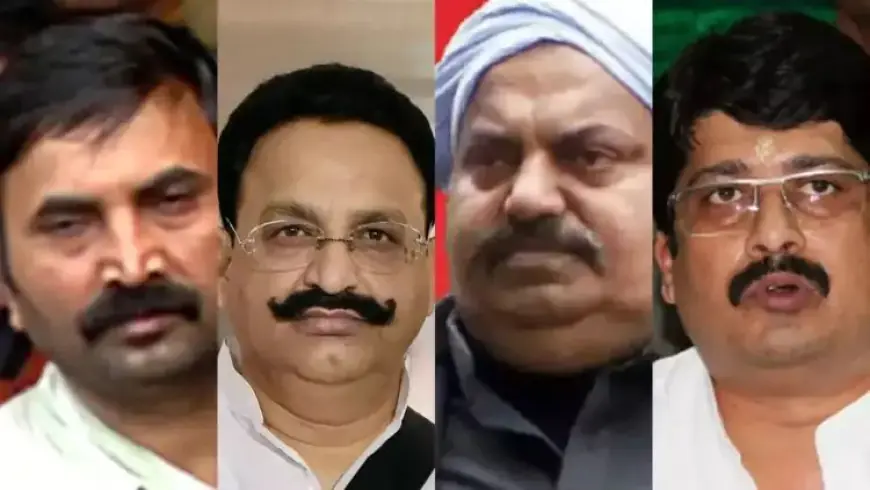 Uttar Pradesh Mafia Raj:  क्या अब माफिया मुक्त हो जाएगा उत्तर प्रदेश?