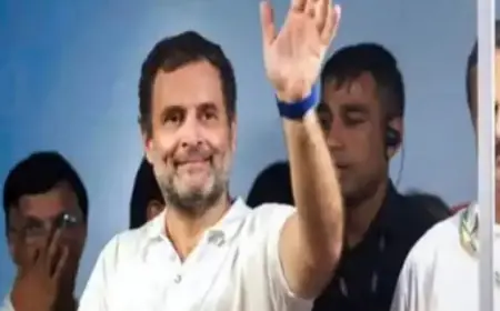 Rahul Gandhi Portfolio Stock: शेयर बाजार के माहिर खिलाड़ी निकले राहुल गांधी