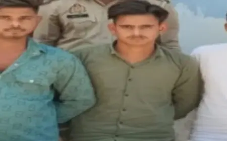 साइबर ठग गिरोह के तीन सदस्य गिरफ्तार: हजारों रुपए बरामद