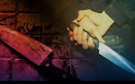 पति ने किया पत्नी पर चाकुओं से बार, बीच मे आ गई साली जाने फिर क्या हुआ