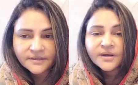 Vibha Singh accused former CM, said - 'He is asking for votes by misleading the public'