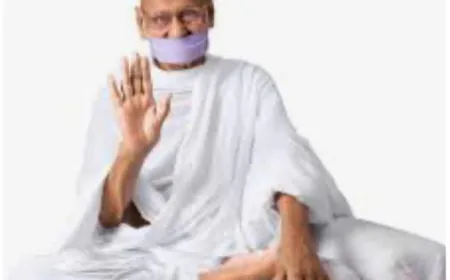 तेरापंथ संघ के दशम अधिशास्ता आचार्य श्री महाप्रज्ञ जी के 15 वां महाप्रयाण दिवस पर मेरे भाव -