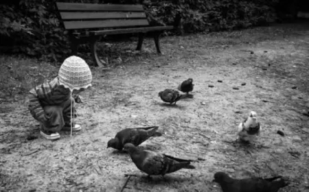 जीवन विकास के कतिपय बिन्दु