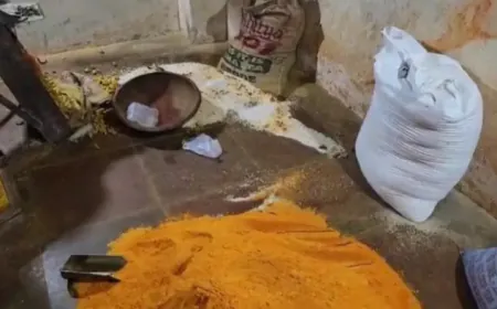 सड़ा चावल, सड़ा नारियल, लकड़ी का बुरादा और एसिड से बनाते थे मसाले... दिल्ली में 15 टन नकली माल जब्त