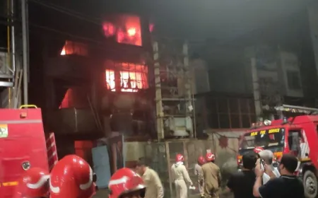 दिल्ली के नरेला में फैक्ट्री में लगा आग, बुझाने में लगीं 30  गाड़ियां