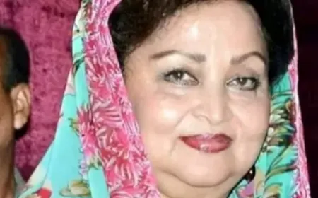 केद्रीय मंत्री ज्योतिरादित्य सिंधिया की मां का दिल्ली में निधन