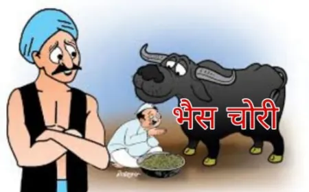 चोरों ने चुरा ली हजारों रुपए कीमत की दो भैंसें