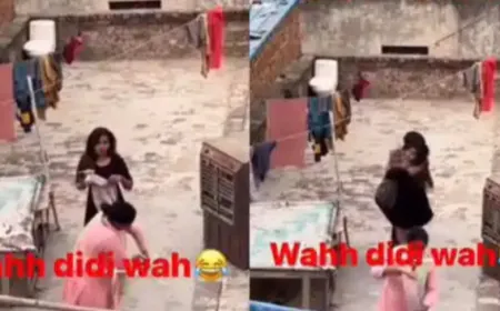 Couple Funny Video: प्रेमी के साथ छत पर थी लडकी, तभी आ गई मां जानें फिर क्या हुआ
