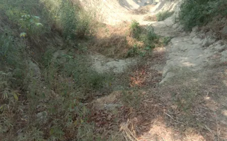 धड़ल्ले से हो रहा ग्राम पंचायतों में मनरेगा कार्यों में फर्जीबाड़े का खेल