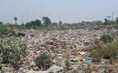 शहर के चारों ओर लगे कूड़े के ढेर,कबाड़ बना एमआरएफ सेंटर