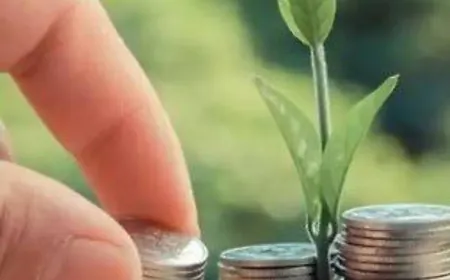 असली कमाई