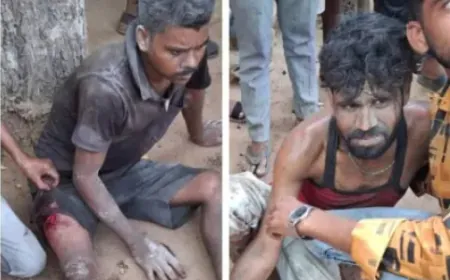 छत्तीसगढ़ के बेमेतरा बारूदी सुरंग में धमाका, एक दर्जन की मौत