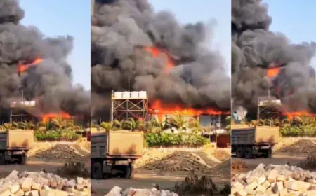 गुजरात के राजकोट में लगी भीषण आग 24 लोग जिंदा जले