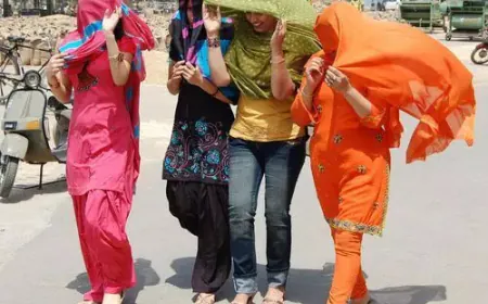 दिल्ली राजधानी में  44 - 48 के बीच रहेगा तापमान, रेड अलर्ट जारी ऐसे ही बरसेगी आग