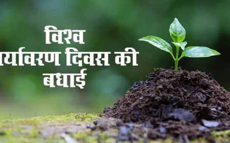अंतराष्ट्रीय पर्यावरण दिवस -