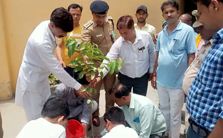 अल्पसंख्यकों ने वृक्षारोपण एवं मिष्ठान वितरण कर मनाया योगी का जन्मदिन