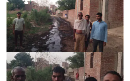 अमांपुर विकास खंड के गाँव नादरमई की ग्राम पंचायत पर विकास के नाम पर पलीता।