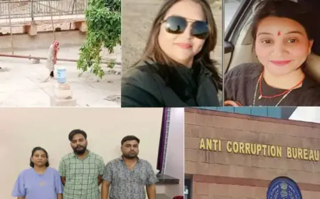 सफाईकर्मी PCS लाखों रुपयों के साथ होटल से गिरफ्तार, सनसनीखेज खुलासे