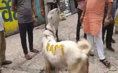 कुर्बानी के बकरे पर लिखा राम, दुकान सील 3 पर FIR