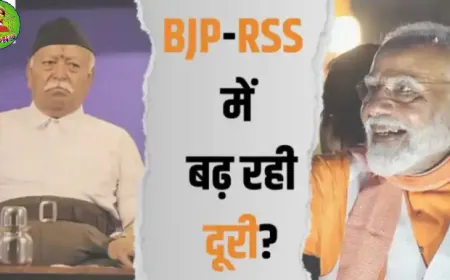बीजेपी बस टिकिट देदे, RSS वाले झक मारके जिता देंगे?
