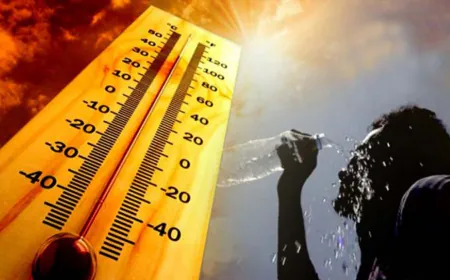 आयुर्वेदिक रसोई से हम लड़ सकते है हीट बेव से रसोई में छुपा है डायरिया से लड़ने का खजाना